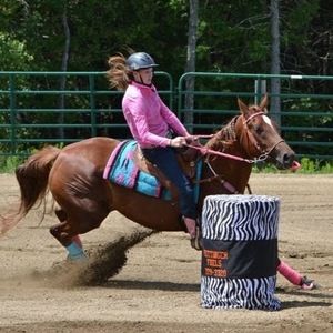 Meet your Posher, Susannah